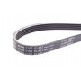 Ремінь генератора Citroen Jumper/Fiat Ducato 3.0HDi/D 06-