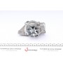 Комплект ГРМ + помпа Citroen/Peugeot/Fiat Scudo/Ducato/Hyundai 1.8/1.9D/TD 94-06 (136x25.4) (PA911)