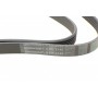 Ремінь генератора VW LT 2.5TDI 96-06/Jeep Cherokee/Wrangler 2.4 01-08/BMW 5 (F10/F07/F11) 3.0D 10-17