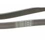 Ремінь генератора MB Vito OM601/602 (AC)/ M111 (PS)