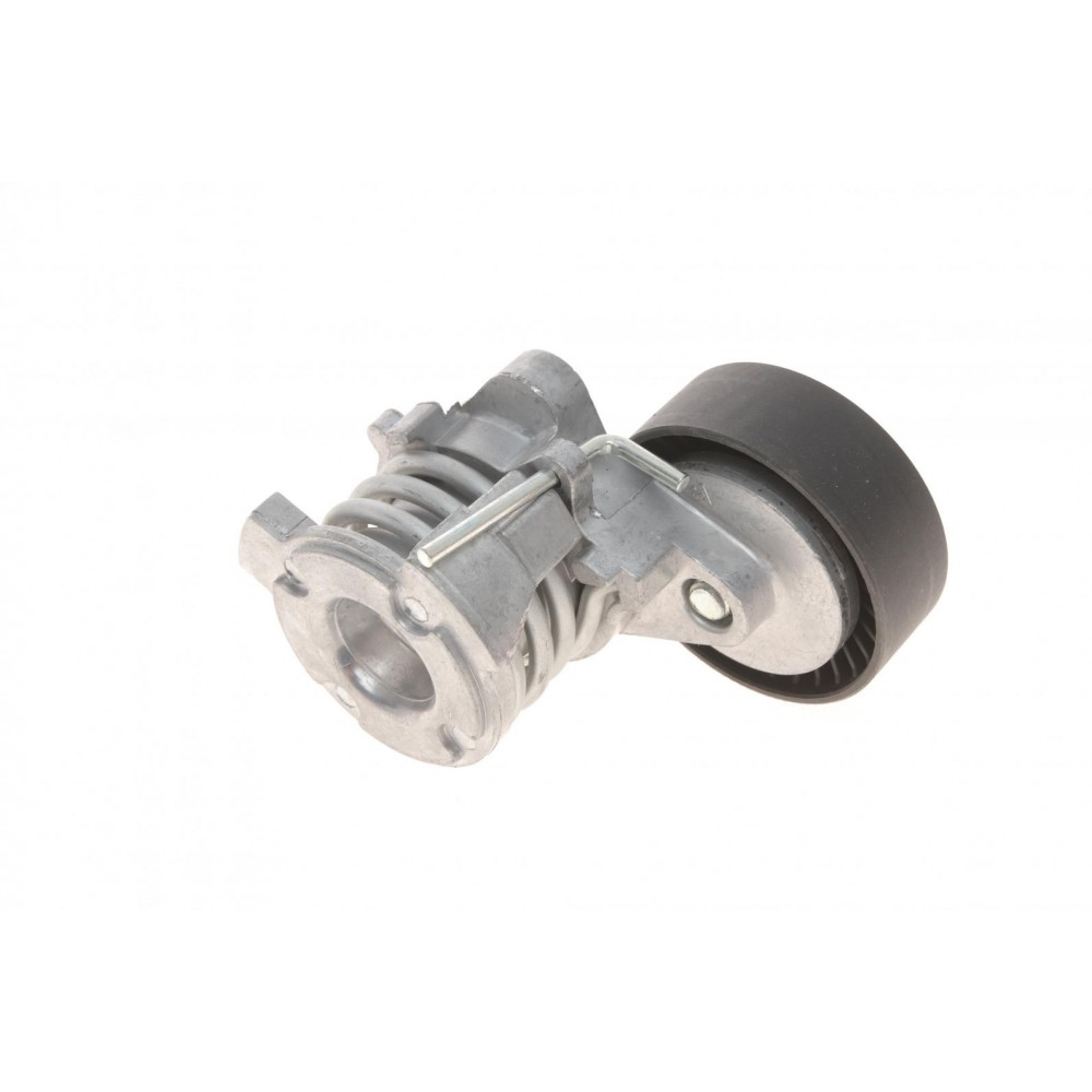 Натяжник ременя генератора BMW 3/5/7/X5 1.6/2.0/2.5/2.8/3.0 95-, M43/M52/M54