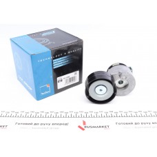 Натяжник ременя генератора Renault Scenic/Megane II/III 1.9dCi/2.0 16V 03-