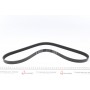 Ремінь генератора Citroen Jumper/Fiat Ducato/Peugeot Boxer 2.0/2.2HDi/JTD 02-
