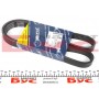Ремінь генератора Fiat Ducato/Citroen Jumper 1.9D/TD 94-/Renault Trafic 2.5dCI 03- (6PK1155)