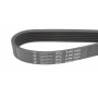 Ремінь генератора Audi A3/A4/Seat Leon/VW Caddy/Passat/Tiguan 1.6-2.0TDI (6PK1025)