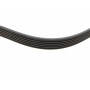 Ремінь генератора Fiat Scudo 1.6/ Renault Kangoo 1.9D 97-/ VW Golf/ Passat 1.6-2.0 90-02 (6PK894)