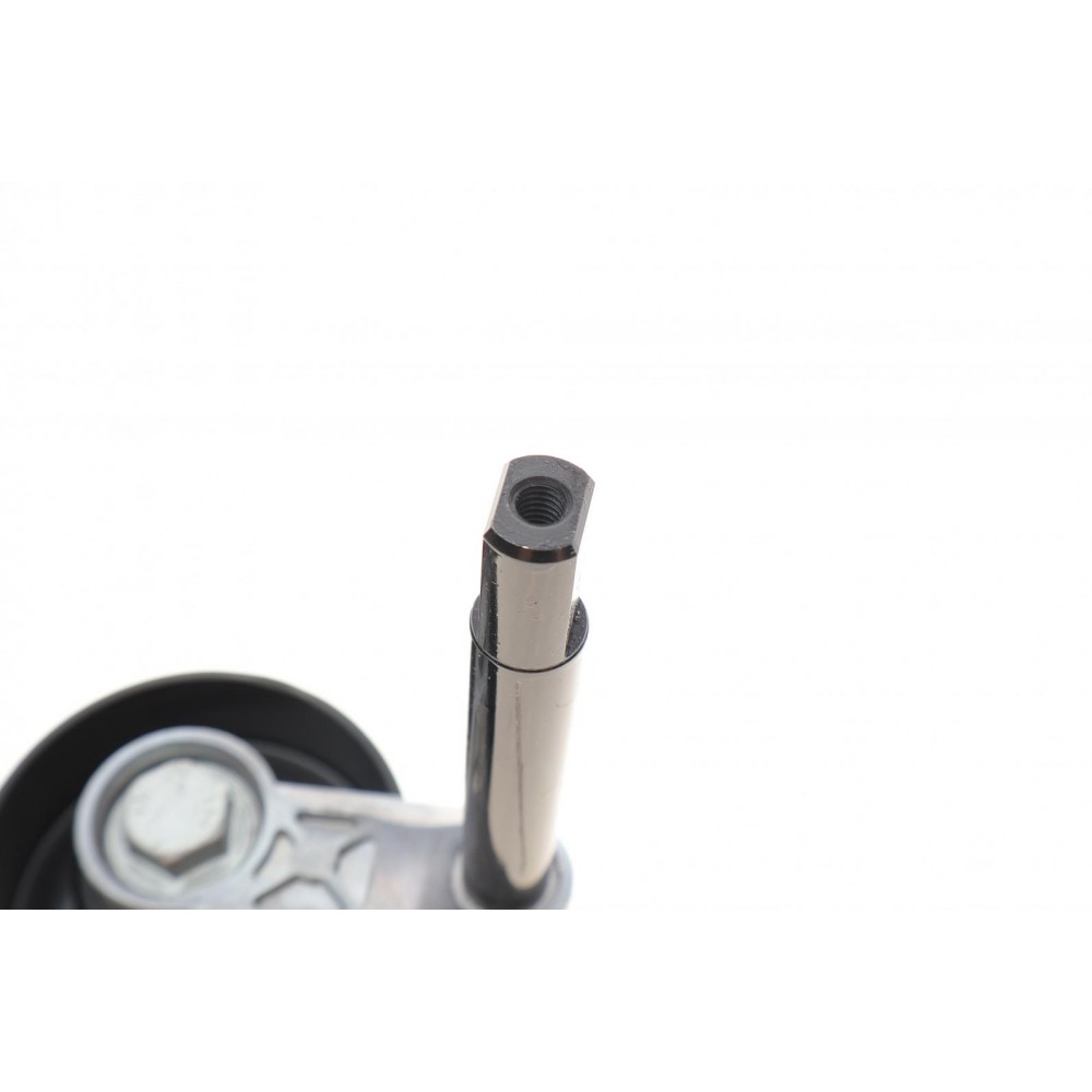 Натяжник ременя генератора BMW 3 (E46) 98-03/5 (E39) 00-03 (M47)