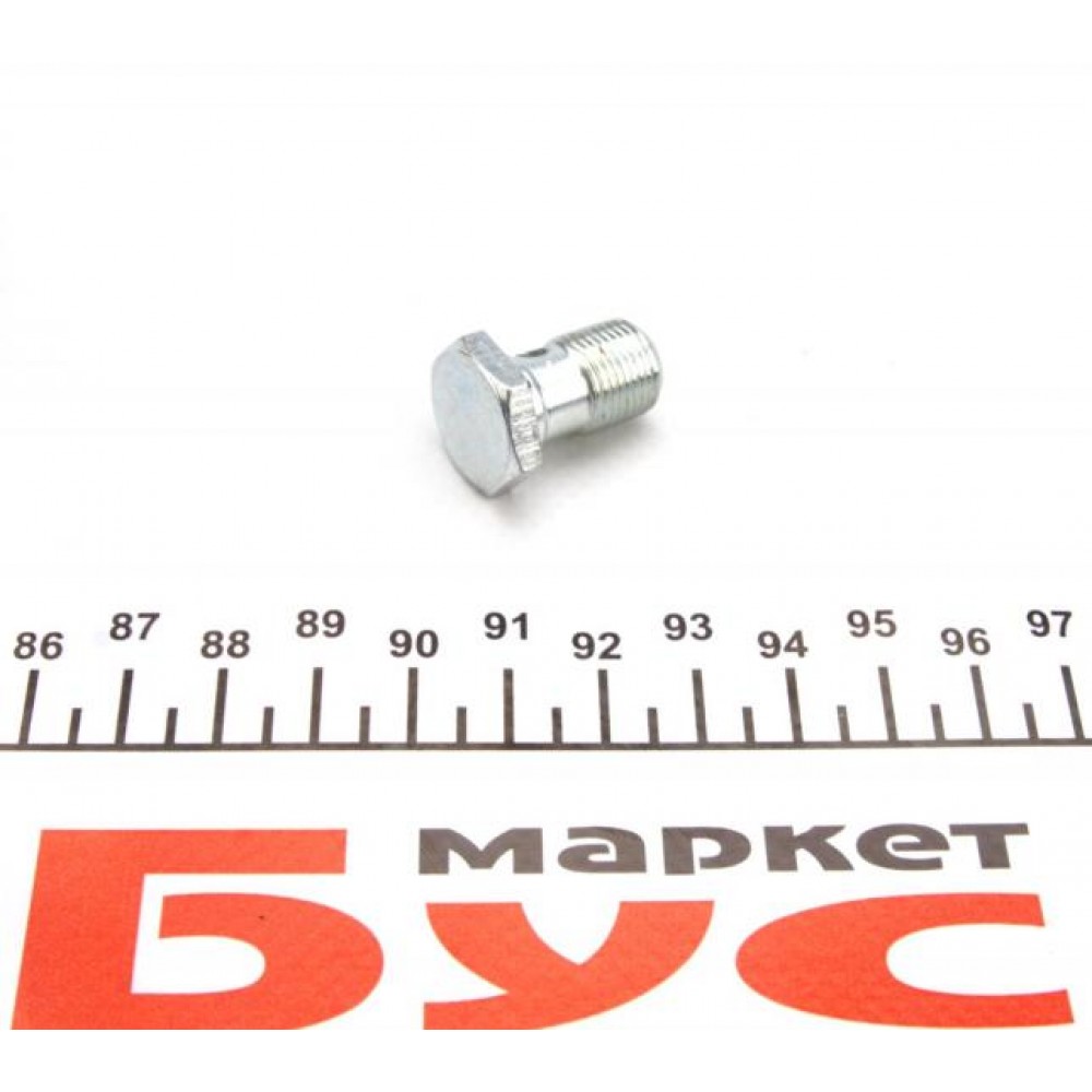 Болт Banjo (банжо) M12x1mm (17x24)
