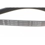 Ремінь генератора Citroen Jumpy 2.0HDI 10- (6PK1245)