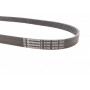 Ремінь генератора VW Caddy 1.6-2.0TDI 15-/Peugeot 2008/306/307/406 1.2-1.6 03-