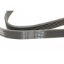 Ремінь генератора Opel Astra J/Corsa D 1.7CDTI 09-15/Ford Focus 1.8TDCi 98-04