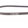 Ремінь генератора Citroen Jumper/Fiat Ducato/Peugeot Boxer 3.0HDi/D 06-