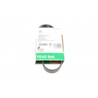 Ремінь генератора Ford Transit 2.0Di/TDCi 00- (-AC) (6PK831)