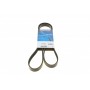 Ремінь генератора Rover 800 2.5 90-99 (5PK1500)