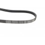 Ремінь генератора Hyundai i10/i20/i30 1.1/1.6CRDi 08-13/Fiat Doblo/Punto/Stilo 1.2/1.4 01- (4PK673)