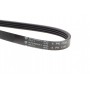 Ремінь генератора Renault Rapid 1.4i 91-98 (4PK1183)