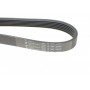 Ремінь генератора MB W124/W164 (6PK2360)