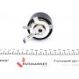 Ролик ГРМ Ford Focus/Mondeo 1.6/1.8/2.0i 96-00 (натяжний) (60х29)