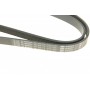Ремінь генератора Fiat Doblo1.3-1.6 D 10-/Opel Astra F/Corsa B/Vectra B 1.4-1.8/ 94-03 (6PK1530)