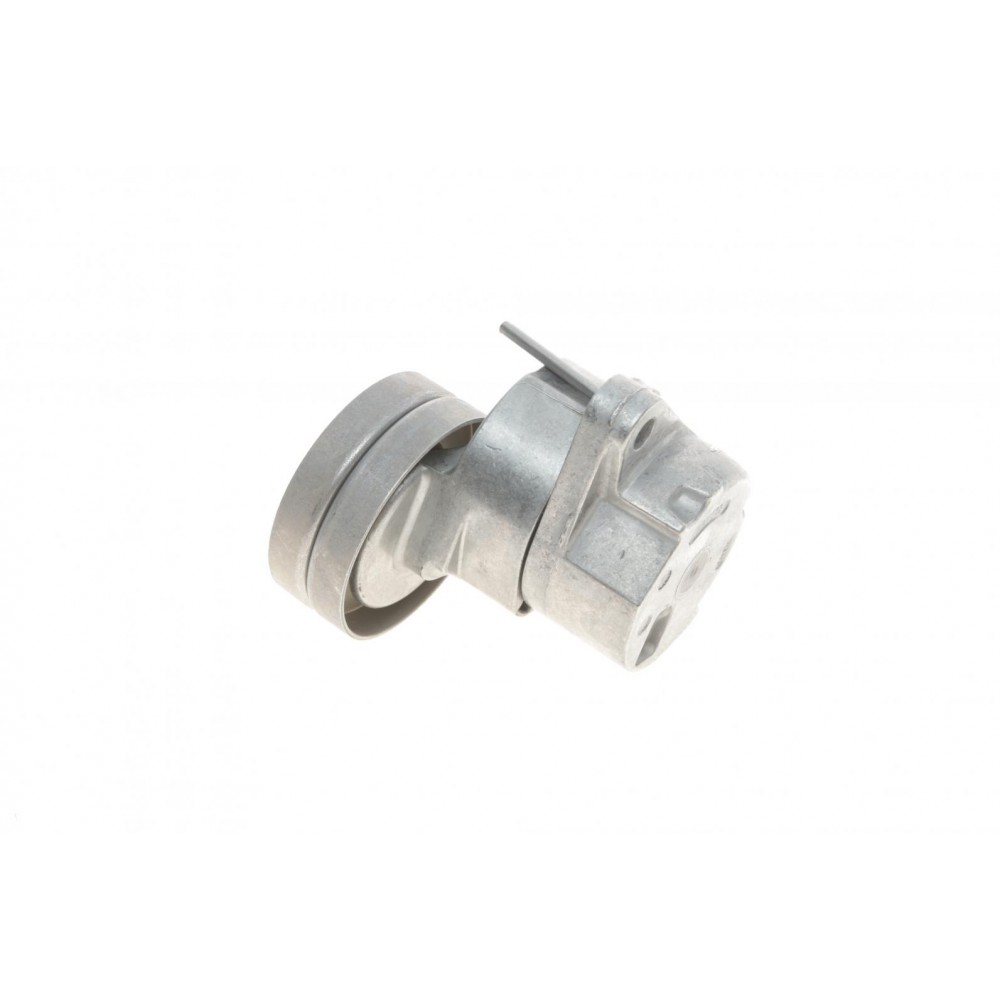 Натяжник ременя генератора Chevrolet Lacetti/Opel Combo/Astra 1.4-1.8 91- (70x26)
