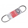 Ремінь генератора Toyota Avensis/Carina/Celica/Corolla 1.6 83-01/Nissan Micra 1.0/1.2 82-92