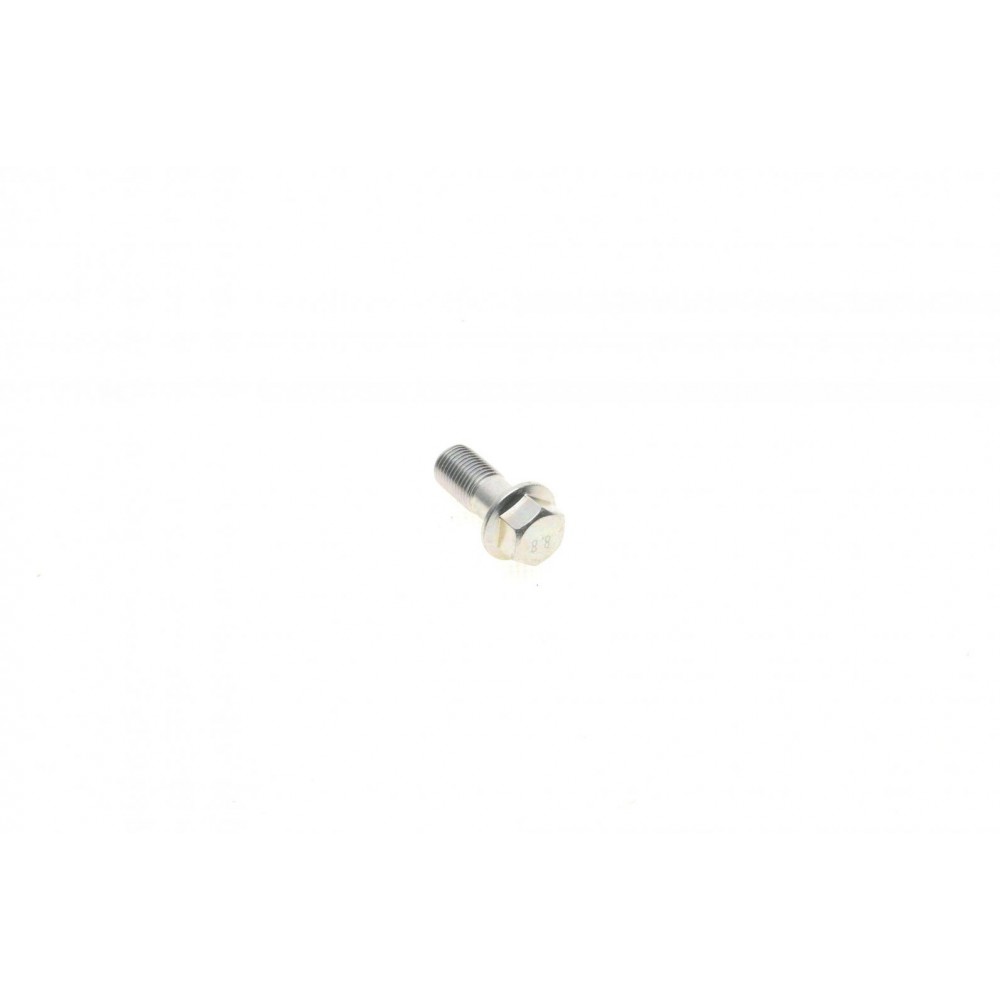 Болт Banjo (банжо) M10x1mm (12x31.4)