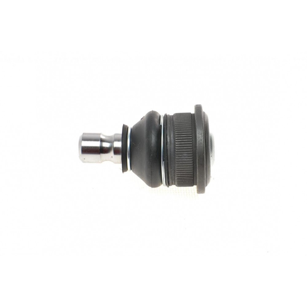 Опора кульова (передня/знизу) Renault Megane II/Scenic 02- (d=16mm)