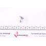 Акумуляторна батарея 6Ah/100A (113x70x130/+R/B0) (AGM) (мото) (сухозаряджений)