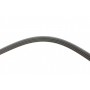 Ремінь генератора Fiat Croma/Lancia Thema/Nissan Almera/Subaru Leone 1.6-2.0 84-00