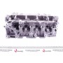 Головка блоку циліндрів Renault Kangoo 1.5dCi 05-
