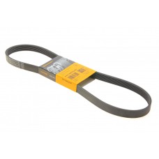 Ремінь генератора Citroen C3/C4/Peugeot 307 1.4-1.6HDi 02-