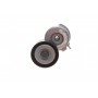 Натяжник ременя генератора Fiat Bravo 1.6-2.0D/Opel Signum 1.9CDTI 04-