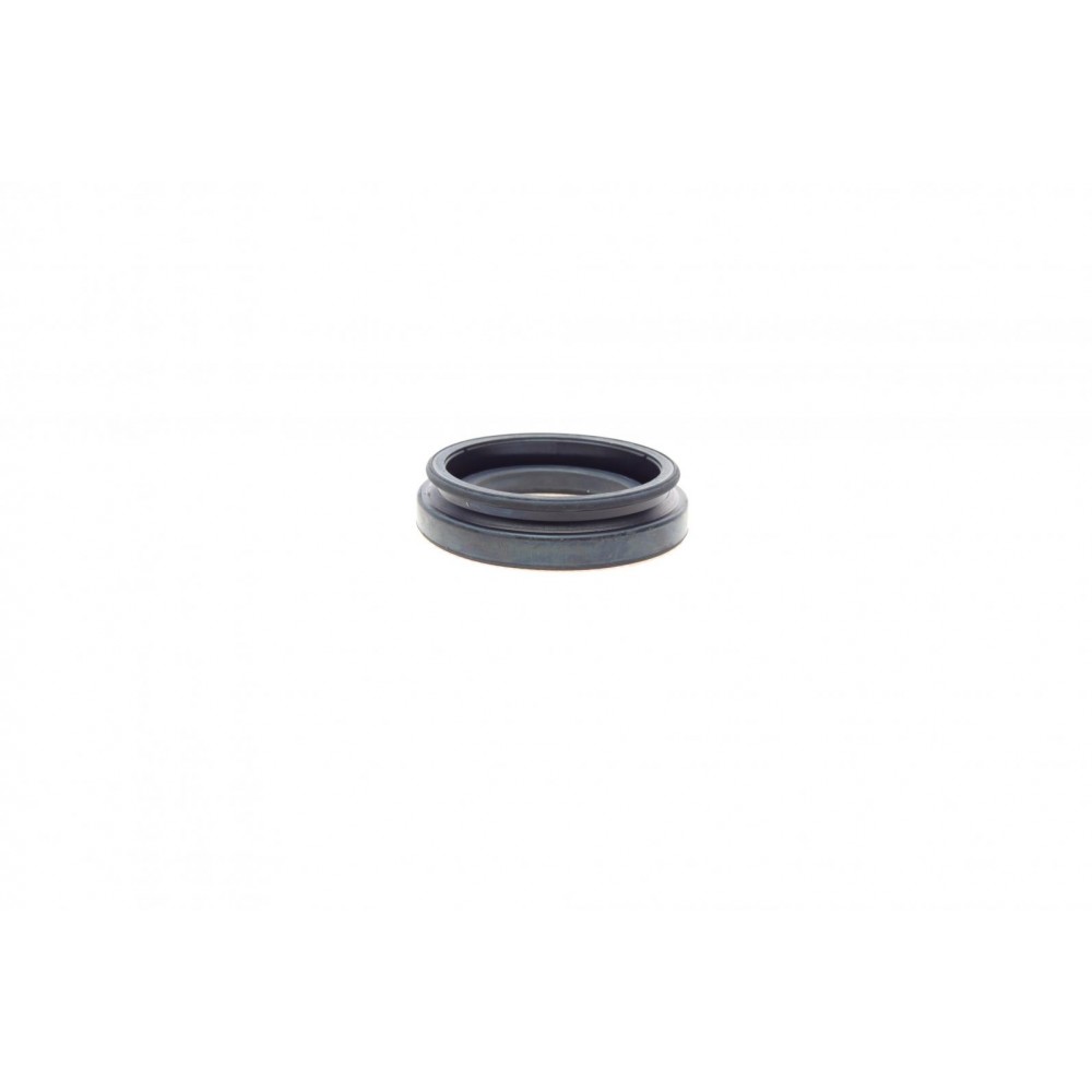 Ремкомплект супорта (заднього) Lexus GS 06-11 (d=38mm) (Advi)