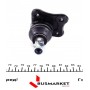 Опора кульова (передня/знизу/R) Audi A3/VW Golf IV 1.4-2.8 96-06 (к-кт)