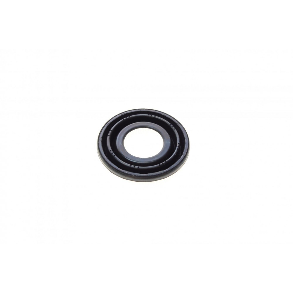 Ремкомплект супорта (заднього) Citroen C4/Toyota Avensis 06- (d=38mm) (Bosch)(+поршень/направляюча)