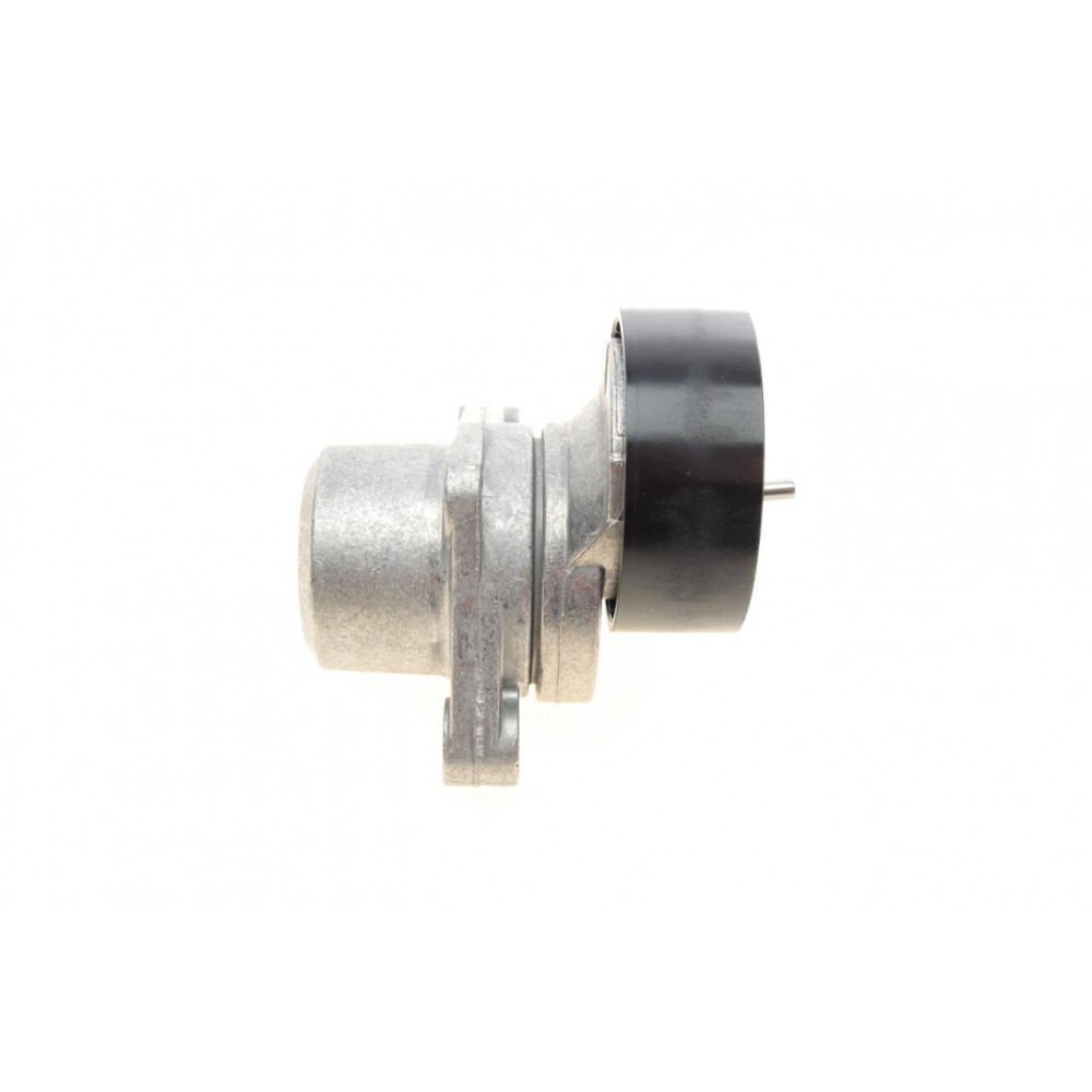 Натяжник ременя генератора Citroen C2/C3/C4/Peugeot 207/307 1.1-1.6 00-
