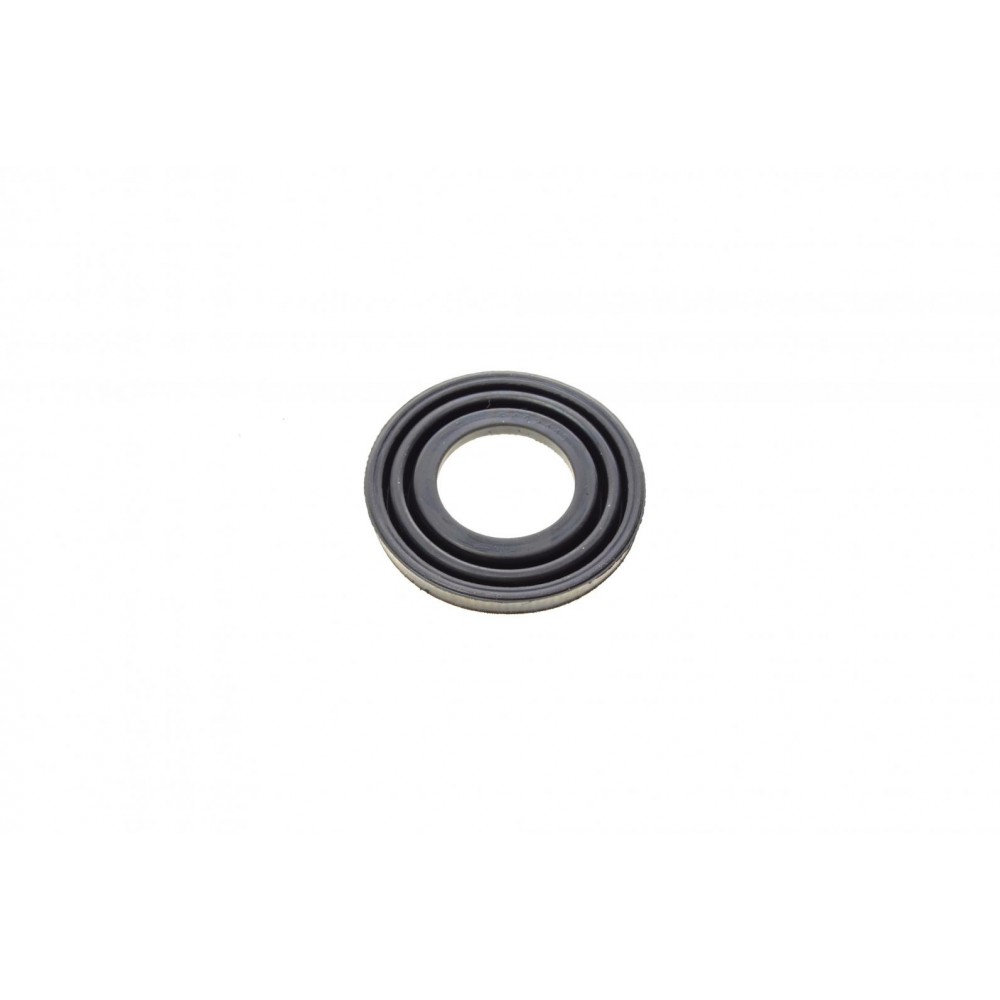Ремкомплект супорта (заднього) Nissan X-Trail 01-13 (d=35mm) (Akebono) (+ поршень/направляюча)