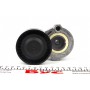 Натяжник ременя генератора Renault Kangoo 1.5dCi 05- (+AC)