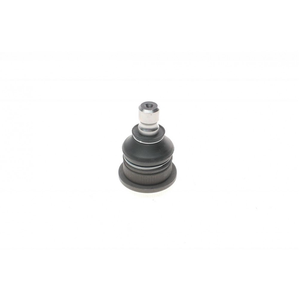 Опора кульова (передня/знизу) Renault Megane II/Scenic 02- (d=16mm)