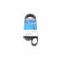 Ремінь генератора Citroen Berlingo/Peugeot Bipper/Partner (6PK1560/1565)