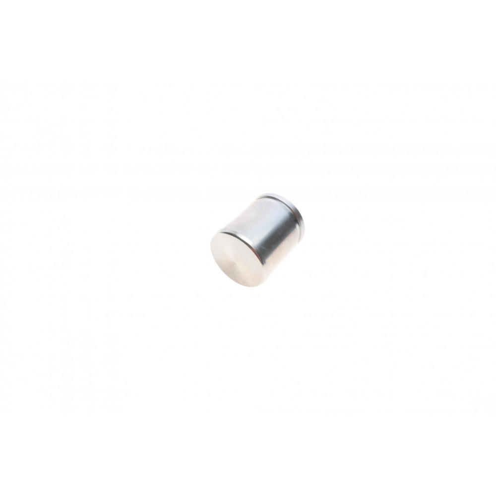 Поршень супорта (переднього) Maxda CX-7 07-/Mitsubishi L200 01-07/Subaru 03- (43x48mm) (Mando)