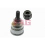 Опора кульова (передня/знизу) Honda Civic VII 00-05