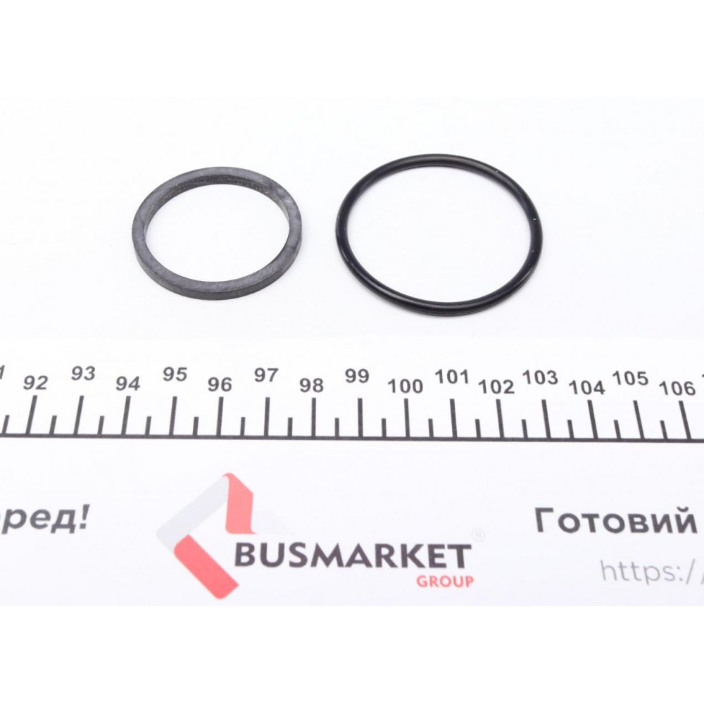 Ремкомплект супорта (заднього) Renault Megane III/Scenic III 08- (d=34mm)