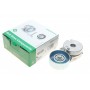 Натяжник ременя генератора Nissan X-Trail/Qashqai/Renault Clio/Fluence/Laguna III 2.0 16 V 07-
