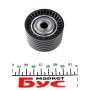 Ролик ГРМ Renault Kangoo 1.6i/Megane 1.4i/1.6i 16V 01- (паразитний) (54х32)