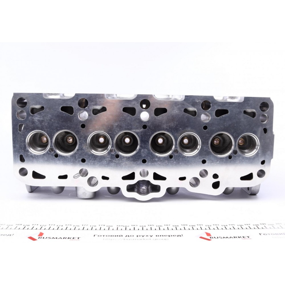 Головка блоку циліндрів VW Caddy 1.9SDI/TDI 96-04 (SSV/AGR/AHF/ALH)