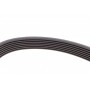 Комплект ременя генератора Nissan Qashqai/Renault Clio/Kangoo/Dacia Dokker/Duster/Logan 12-