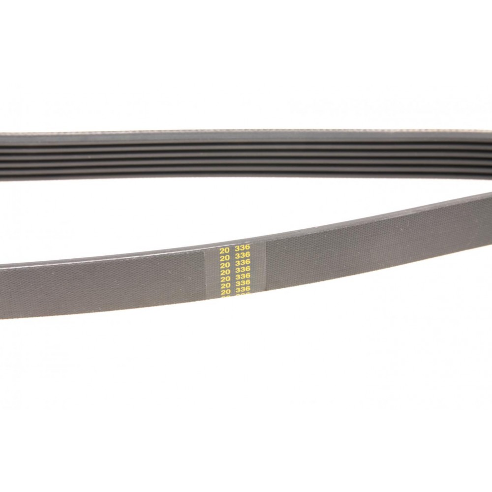 Ремінь генератора MB W211 55 AMG 02-08 (6PK2442)