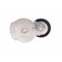 Натяжник ременя генератора Ford Focus/Mondeo 2.0 TDCi 07- (65.5x25)