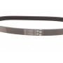 Ремінь генератора Subaru Forester 2.0 08-13/Impreza 1.6/2.0 92-07/Legacy 1.8-2.5 89-14/Outback 12-